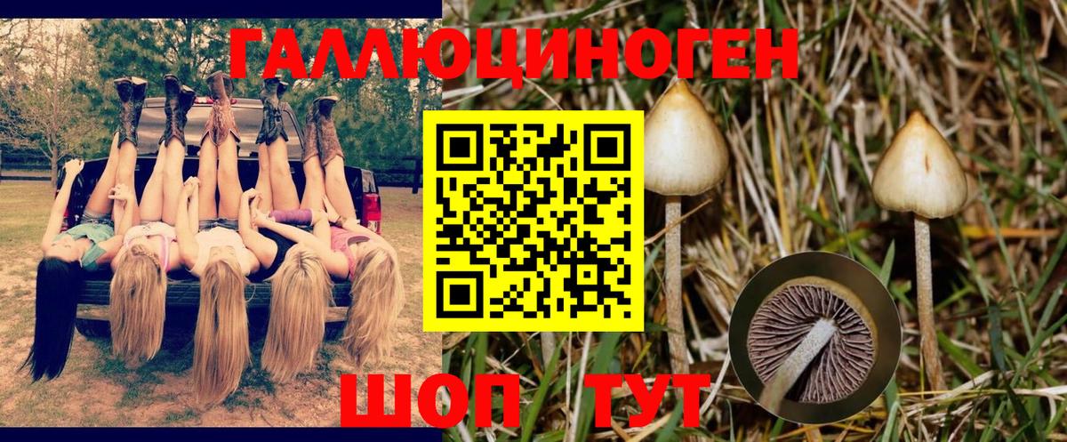 Галлюциногенные грибы мухоморы Вышний Волочёк