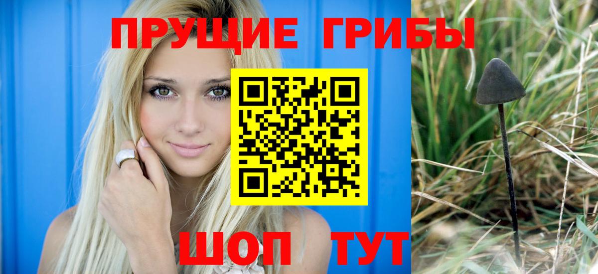 купить закладку  Псилоцибиновые грибы мицелий  Вход с VPN  Вышний Волочёк  Псилоцибиновые грибы MAGIC MUSHROOMS 